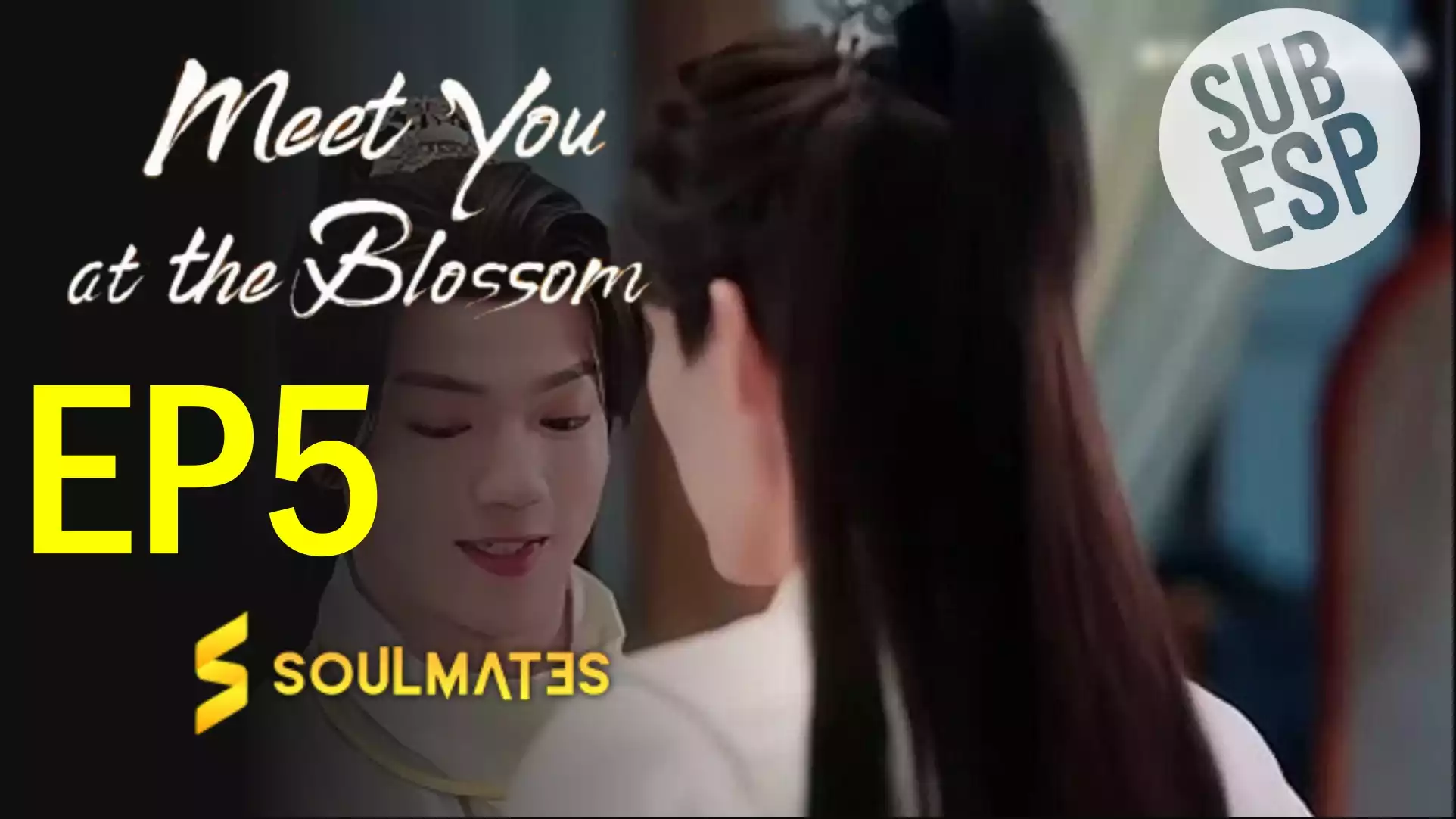 Meet You at the Blossom: 1×5
