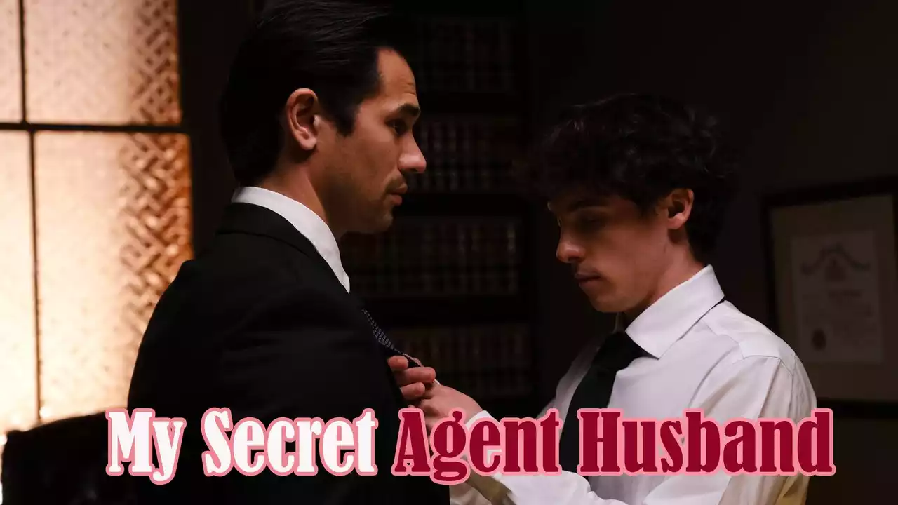 My Secret Agent Husband